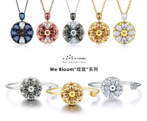 当珠宝会「说话」 智能珠宝品牌Totwoo获2000万A轮融资，如何让珠宝与美妆「心有灵犀」？